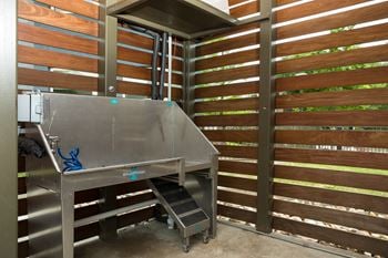 Dog washing stations